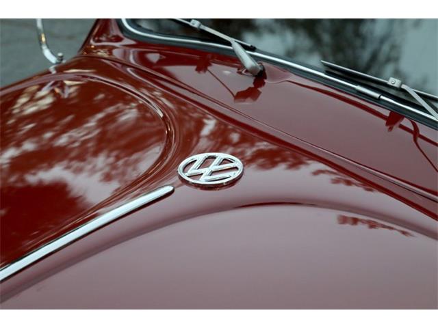 1959 Volkswagen Beetle (CC-1782717) for sale in Savannah, Georgia