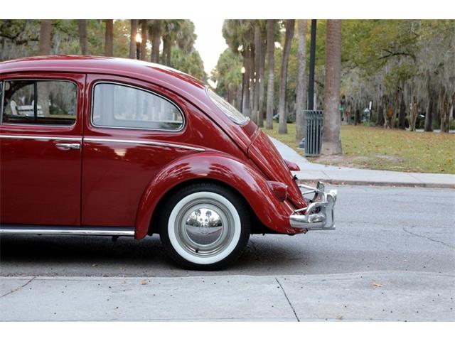 1959 Volkswagen Beetle (CC-1782717) for sale in Savannah, Georgia