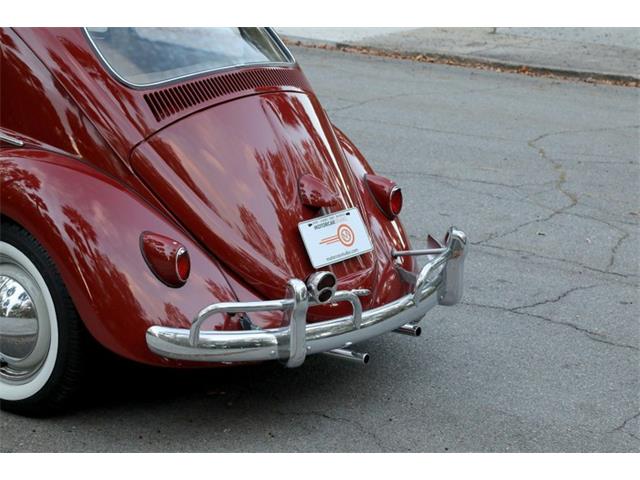 1959 Volkswagen Beetle (CC-1782717) for sale in Savannah, Georgia