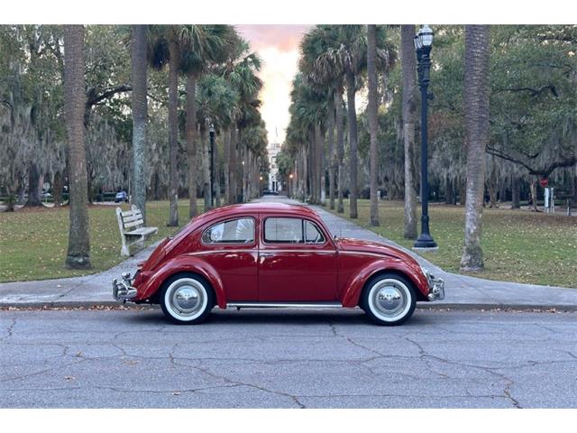 1959 Volkswagen Beetle (CC-1782717) for sale in Savannah, Georgia