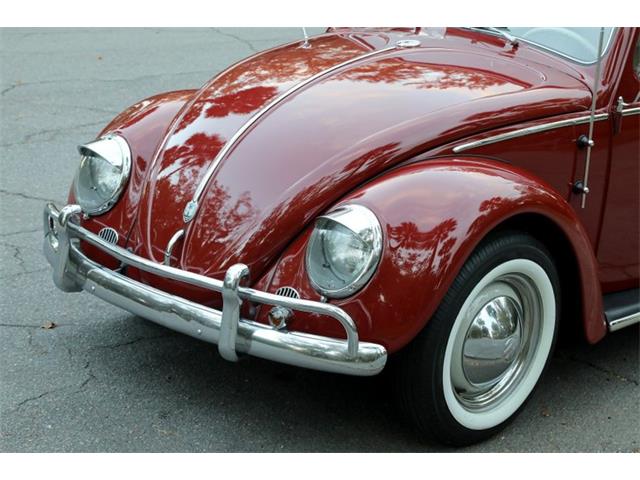 1959 Volkswagen Beetle (CC-1782717) for sale in Savannah, Georgia
