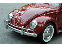 1959 Volkswagen Beetle (CC-1782717) for sale in Savannah, Georgia