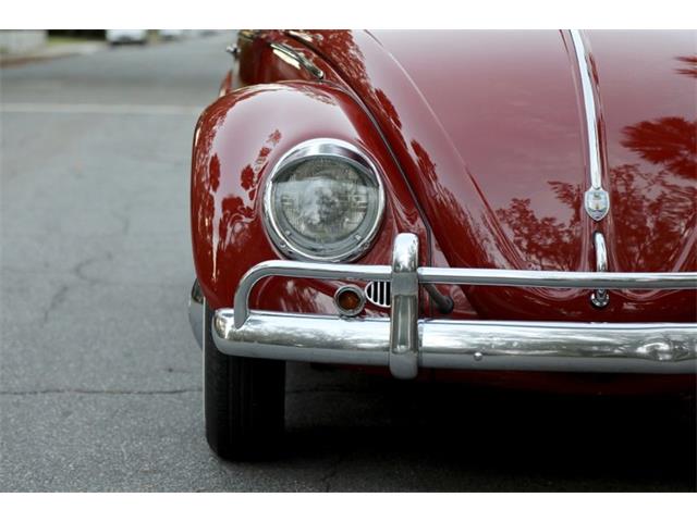 1959 Volkswagen Beetle (CC-1782717) for sale in Savannah, Georgia