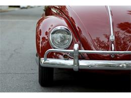 1959 Volkswagen Beetle (CC-1782717) for sale in Savannah, Georgia