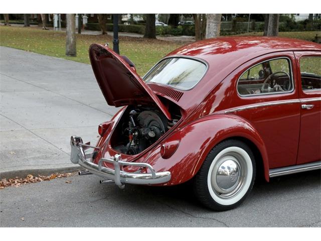 1959 Volkswagen Beetle (CC-1782717) for sale in Savannah, Georgia