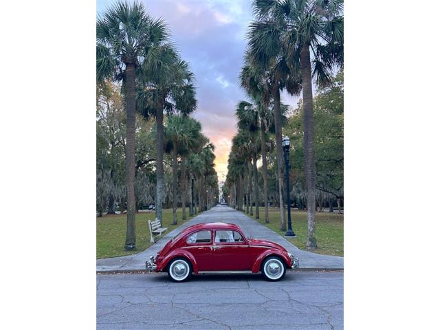 1959 Volkswagen Beetle (CC-1782717) for sale in Savannah, Georgia
