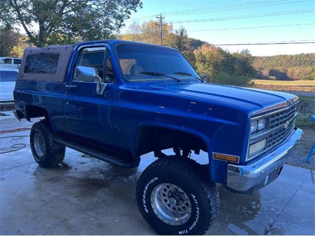 1989 Chevrolet Blazer (CC-1782875) for sale in Cadillac, Michigan