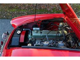 1967 Austin-Healey 3000 (CC-1783280) for sale in Hickory, North Carolina