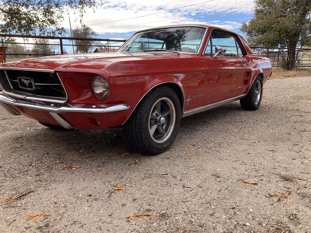 1967 Ford Mustang in Douglas, Wyoming