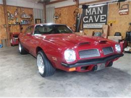 1974 Pontiac Firebird (CC-1783550) for sale in Cadillac, Michigan