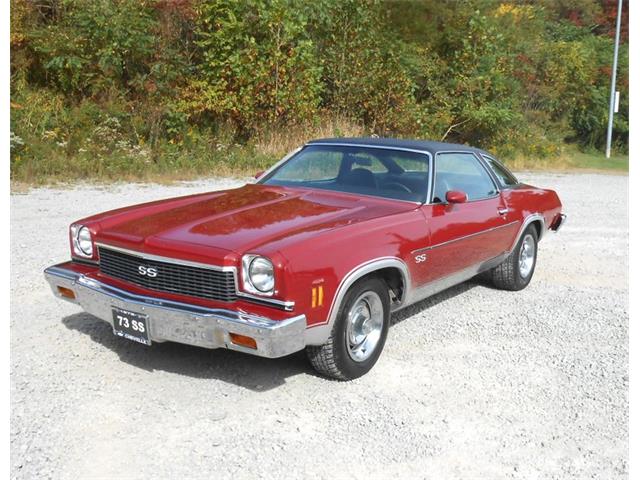 1973 Chevrolet Chevelle (CC-1783611) for sale in Punta Gorda, Florida