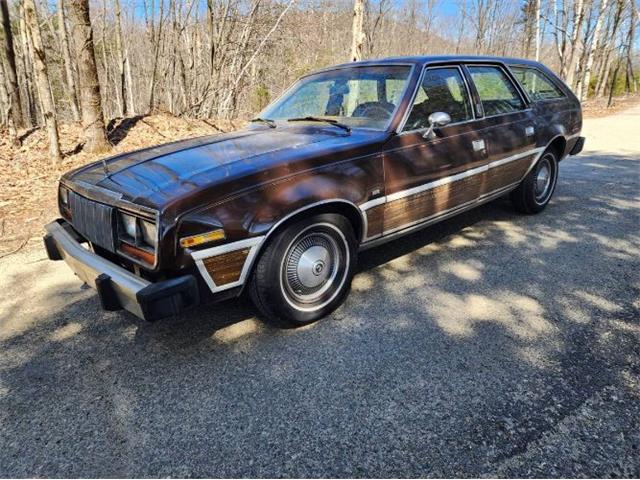 1979 AMC Concord (CC-1783977) for sale in Cadillac, Michigan