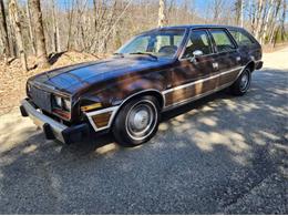1979 AMC Concord (CC-1783977) for sale in Cadillac, Michigan