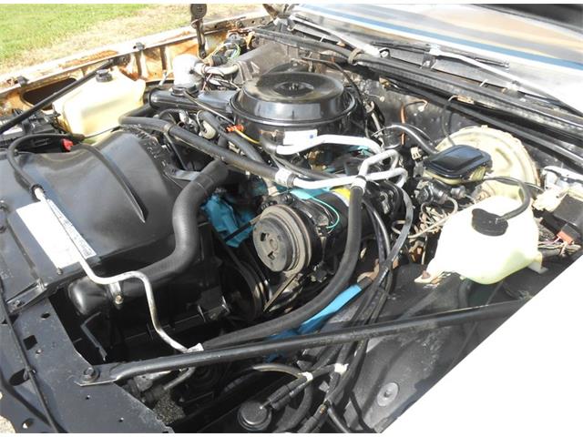 1980 Pontiac LeMans (CC-1780432) for sale in Punta Gorda, Florida
