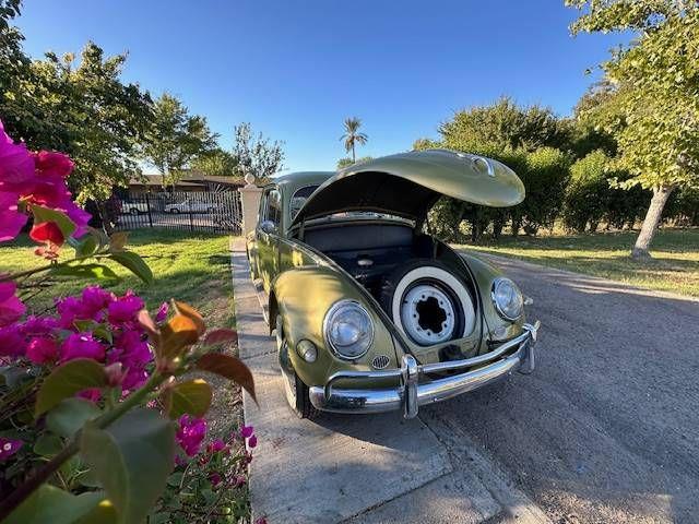 1956 Volkswagen Beetle (CC-1784371) for sale in Cadillac, Michigan