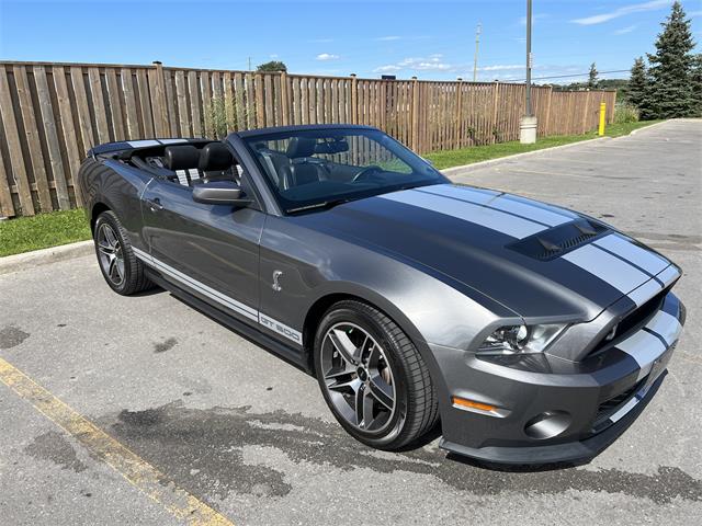2010 Ford Mustang GT500 (CC-1784611) for sale in Toronto, Ontario