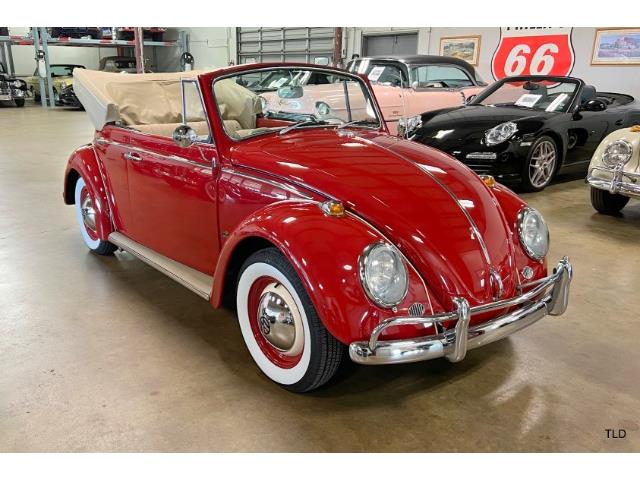 1964 Volkswagen Beetle (CC-1784917) for sale in Chicago, Illinois