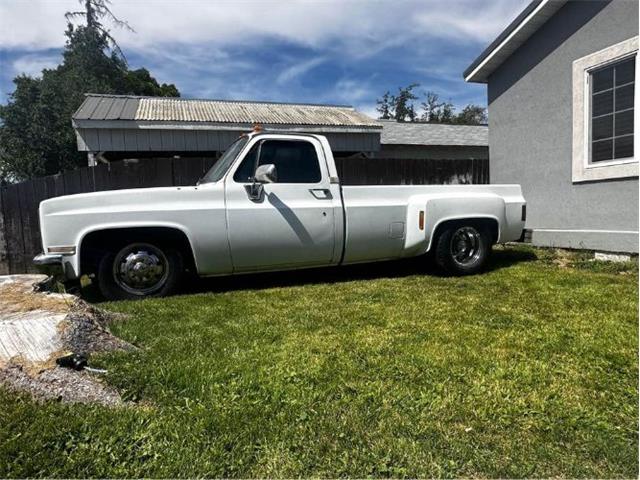 1983 Chevrolet C30 (CC-1785065) for sale in Cadillac, Michigan