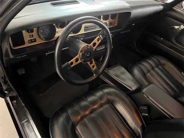 1977 Pontiac Firebird Trans Am SE for Sale | ClassicCars.com | CC-1785359