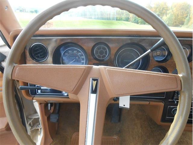 1980 Pontiac LeMans (CC-1785493) for sale in Lakeland, Florida
