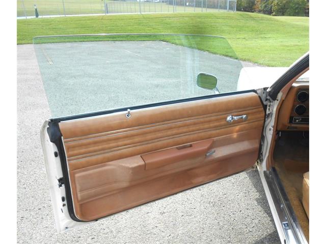 1980 Pontiac LeMans (CC-1785493) for sale in Lakeland, Florida