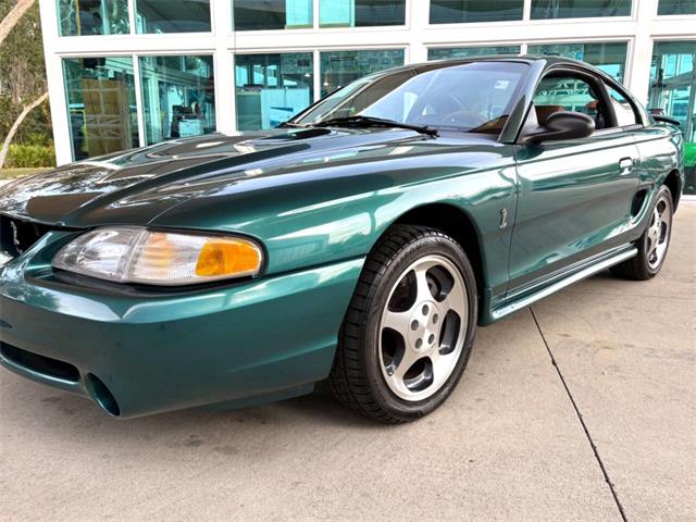1997 Ford Mustang SVT Cobra (CC-1785583) for sale in Bradenton, Florida