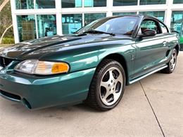 1997 Ford Mustang SVT Cobra (CC-1785583) for sale in Bradenton, Florida