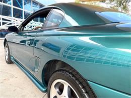 1997 Ford Mustang SVT Cobra (CC-1785583) for sale in Bradenton, Florida