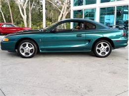 1997 Ford Mustang SVT Cobra (CC-1785583) for sale in Bradenton, Florida