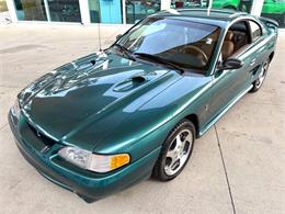 1997 Ford Mustang SVT Cobra (CC-1785583) for sale in Bradenton, Florida