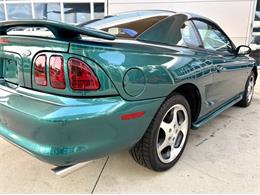 1997 Ford Mustang SVT Cobra (CC-1785583) for sale in Bradenton, Florida