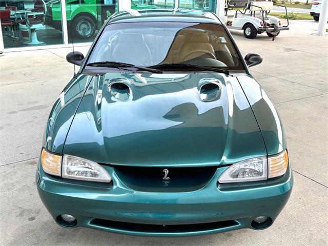 1997 Ford Mustang SVT Cobra (CC-1785583) for sale in Bradenton, Florida