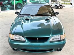 1997 Ford Mustang SVT Cobra (CC-1785583) for sale in Bradenton, Florida