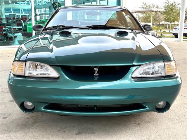 1997 Ford Mustang SVT Cobra (CC-1785583) for sale in Bradenton, Florida
