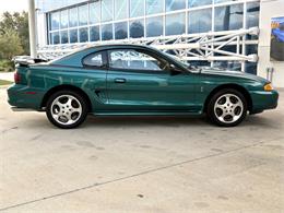 1997 Ford Mustang SVT Cobra (CC-1785583) for sale in Bradenton, Florida