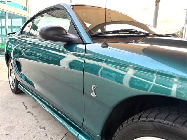1997 Ford Mustang SVT Cobra (CC-1785583) for sale in Bradenton, Florida