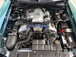 1997 Ford Mustang SVT Cobra (CC-1785583) for sale in Bradenton, Florida