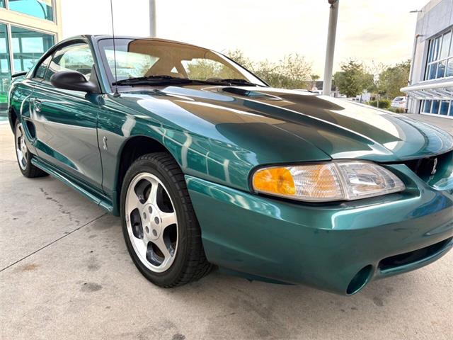 1997 Ford Mustang SVT Cobra (CC-1785583) for sale in Bradenton, Florida
