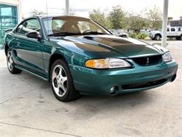 1997 Ford Mustang SVT Cobra (CC-1785583) for sale in Bradenton, Florida