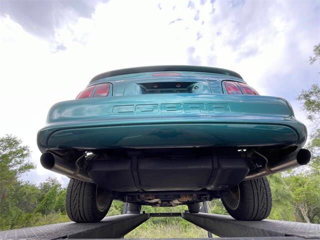 1997 Ford Mustang SVT Cobra (CC-1785583) for sale in Bradenton, Florida