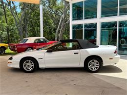 1994 Chevrolet Camaro (CC-1785639) for sale in Palmetto, Florida