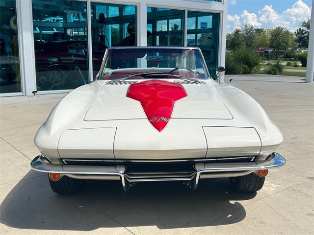 1965 Chevrolet Corvette (CC-1785680) for sale in Palmetto, Florida