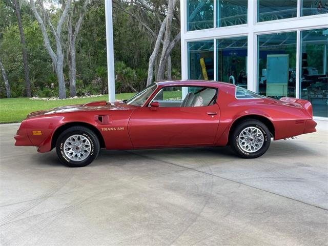 1976 Pontiac Firebird Trans Am (CC-1785706) for sale in Palmetto, Florida