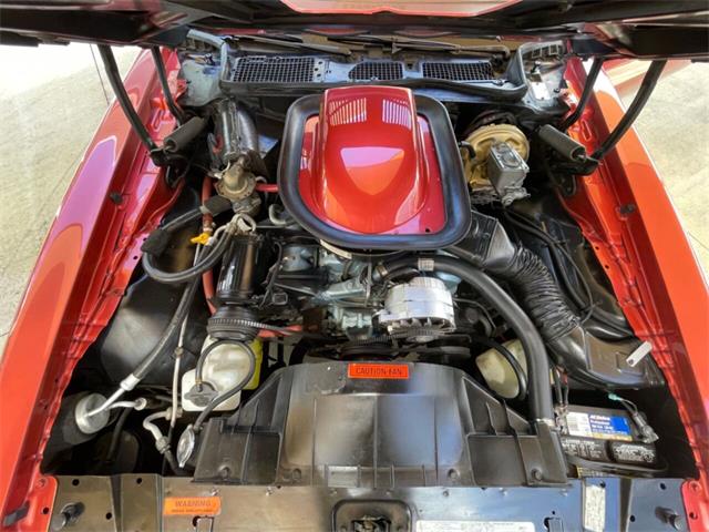 1976 Pontiac Firebird Trans Am (CC-1785706) for sale in Palmetto, Florida