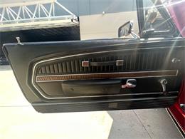 1968 Shelby GT500 (CC-1785720) for sale in Palmetto, Florida