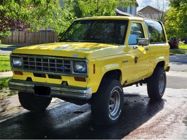 1985 Ford Bronco (CC-1785932) for sale in Cadillac, Michigan