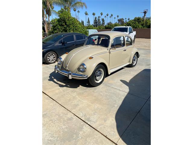 1968 Volkswagen Beetle (CC-1786252) for sale in PARKER, Arizona