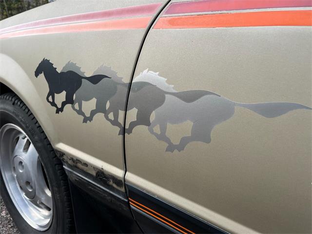 1979 Ford Mustang (CC-1786253) for sale in Stanley, Wisconsin