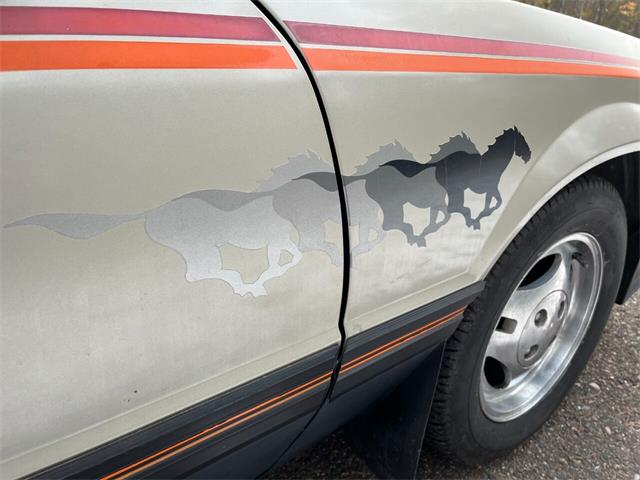 1979 Ford Mustang (CC-1786253) for sale in Stanley, Wisconsin