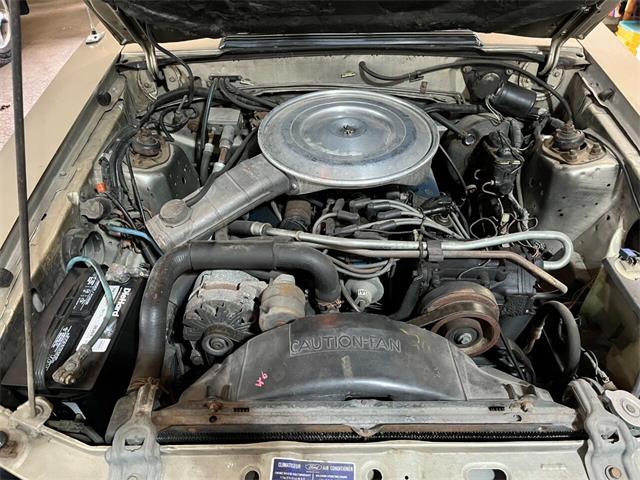 1979 Ford Mustang (CC-1786253) for sale in Stanley, Wisconsin